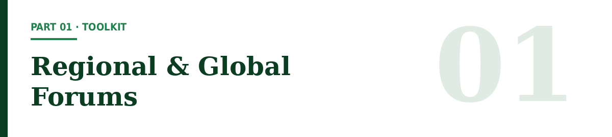 banner-1-regional-global-forums